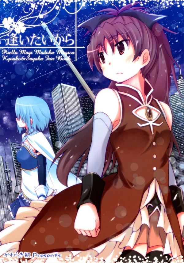 Mahou Shoujo Madoka★Magica - Because I Want to See You (Doujinshi)