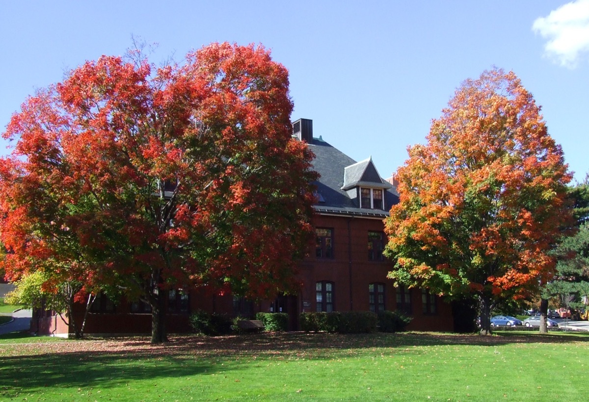 Autumn Colors at Tufts University - Image