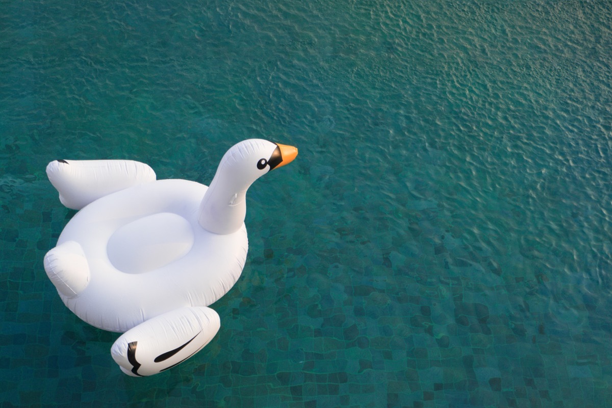 Inflatable swan float in pool