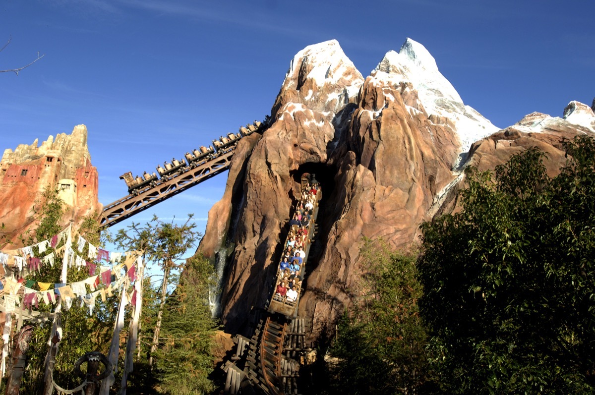 roller coaster in disney theme park