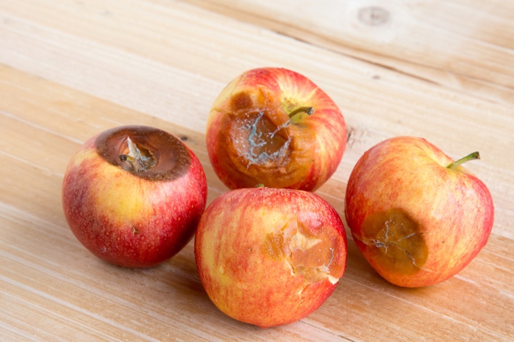 Rotten Apples Grocery Shopping Mistakes