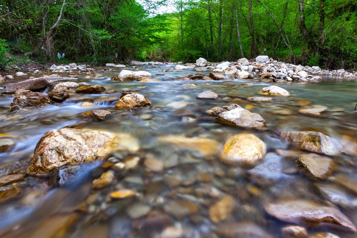 Transparent cold water of a mountain river flows between picturesque summer stones against a background of green trees close up. (Transparent cold water of a mountain river flows between picturesque summer stones against a background of green trees cl