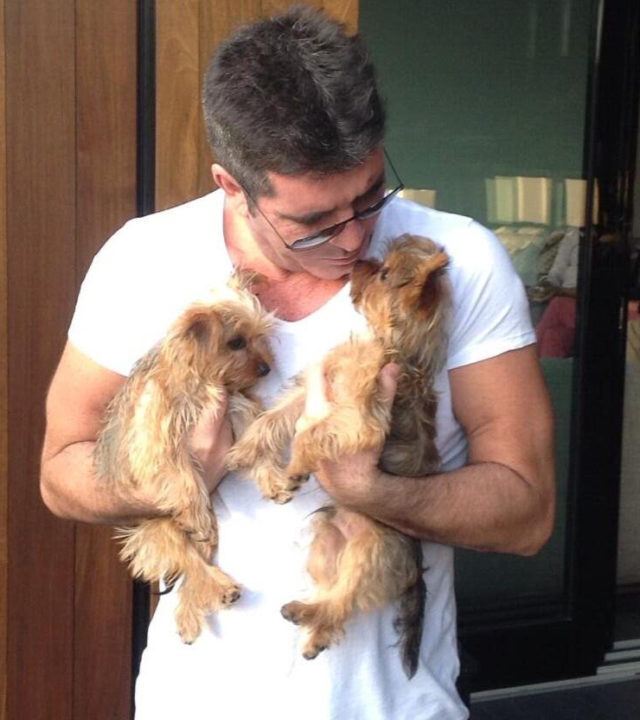 Simon Cowell Dogs Squiddly and Diddly Celebrity Pets