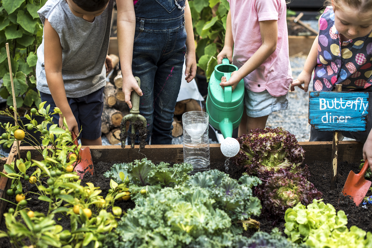 Children are in the garden watering the plants in their 