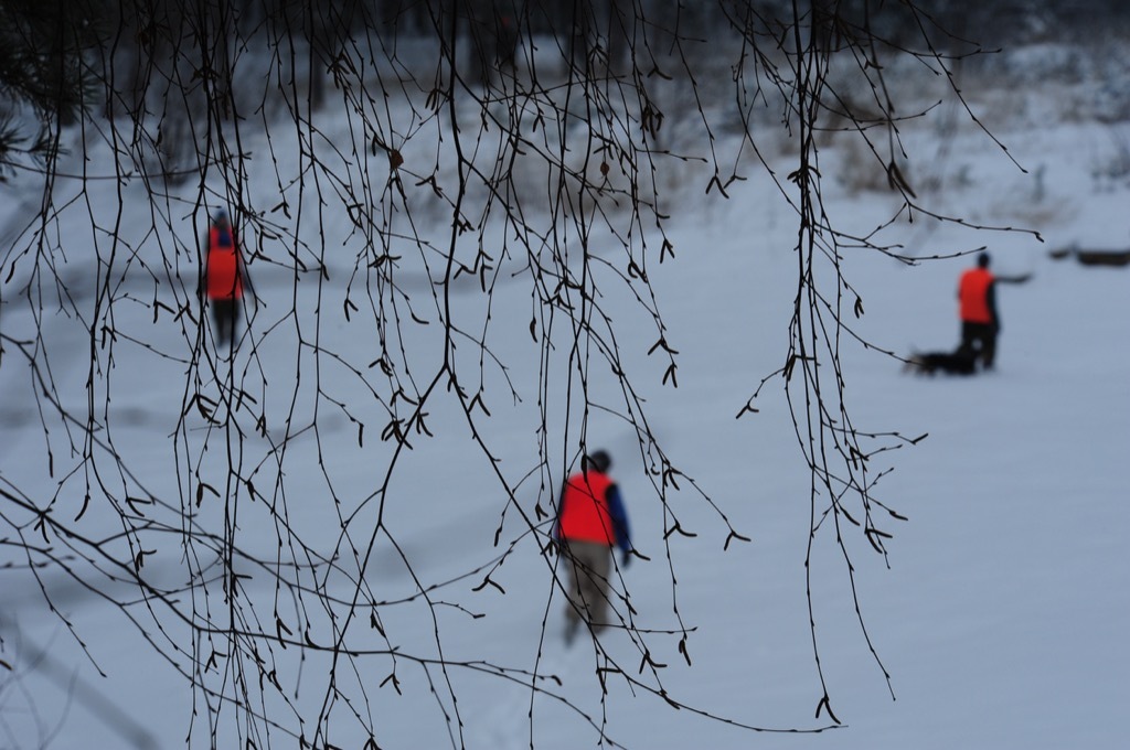 Aokigahara suicide forest search party