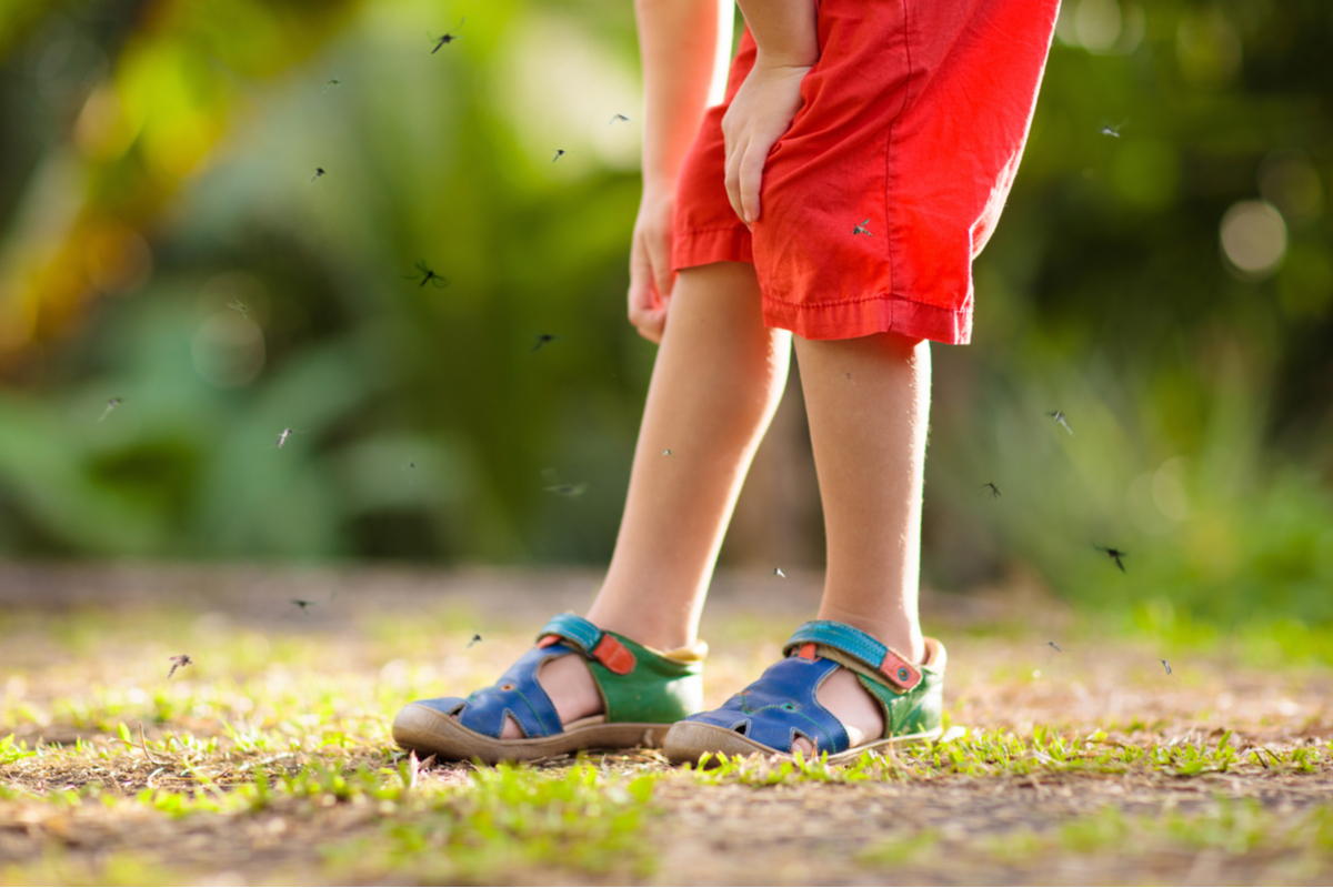 Kid scratching mosquito bite in red shorts