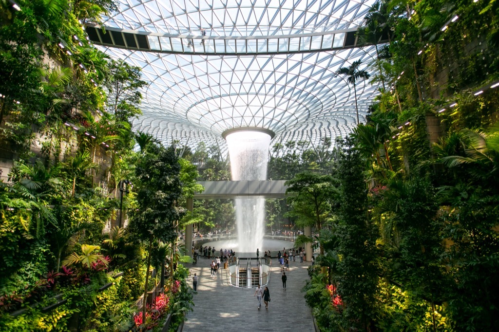 changi airport rain vortex