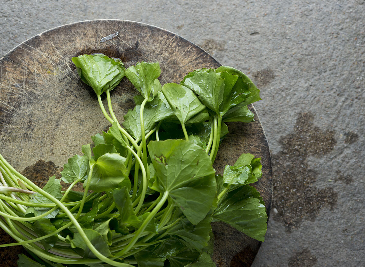 gotu kola leaves