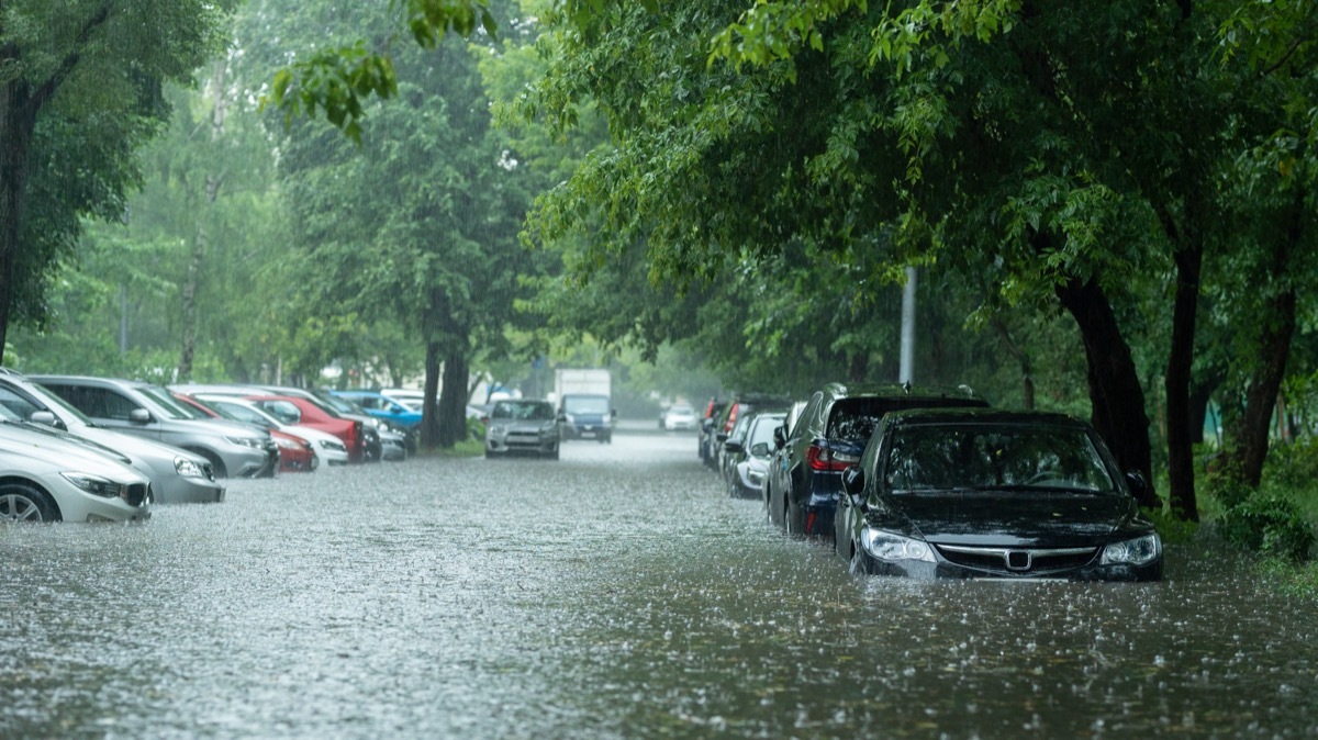 Street with Flooded Cars