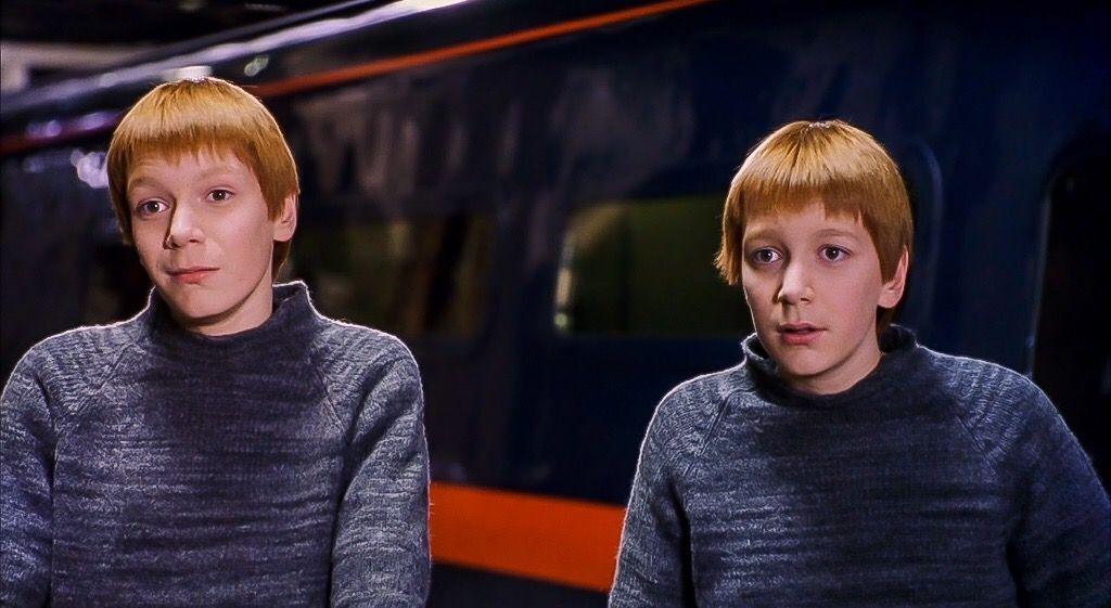 Fred and George Harry Potter