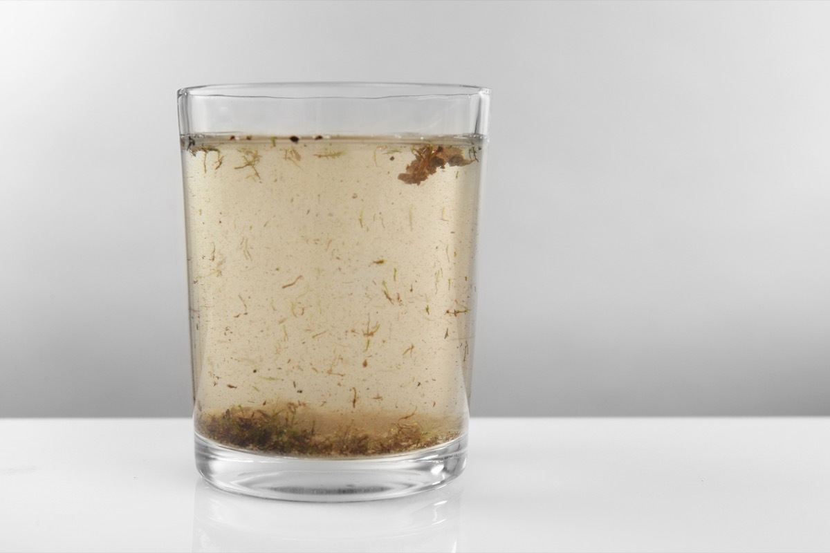 Glass of contaminated water