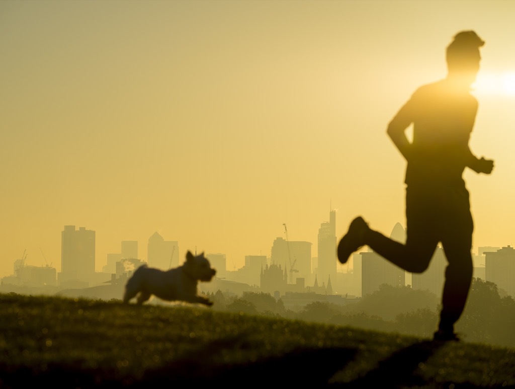 spending time with pets can make you instantly happy