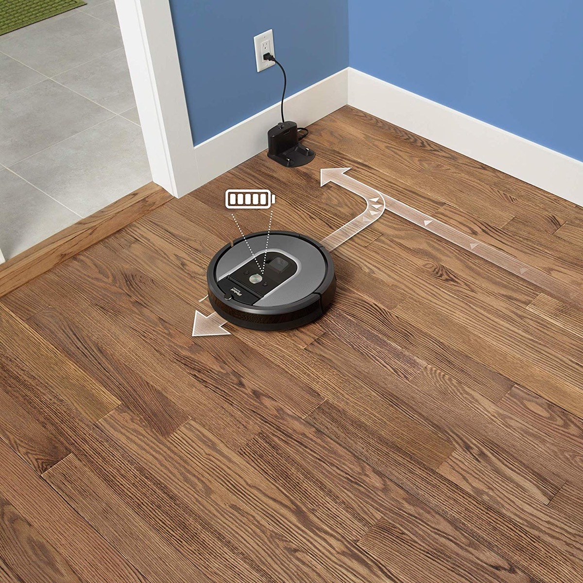 roomba appliances with cult followings