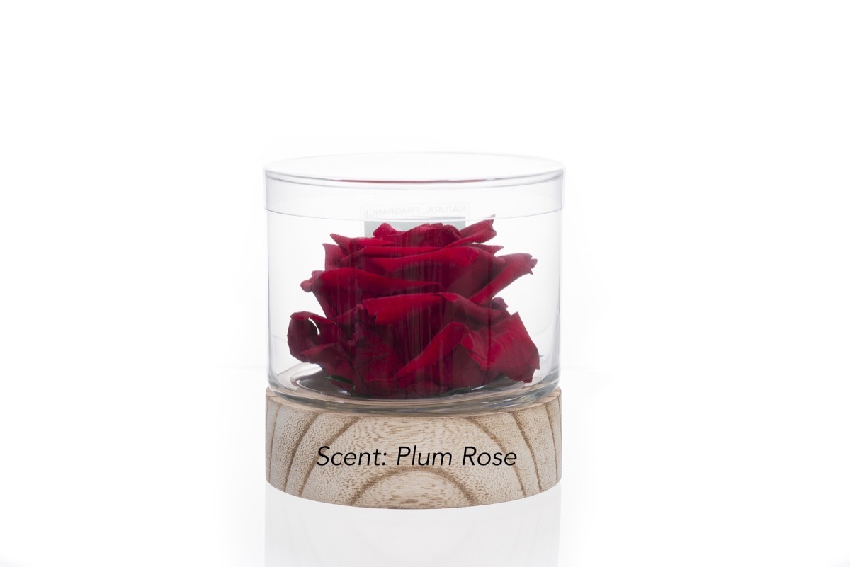 preserved rose