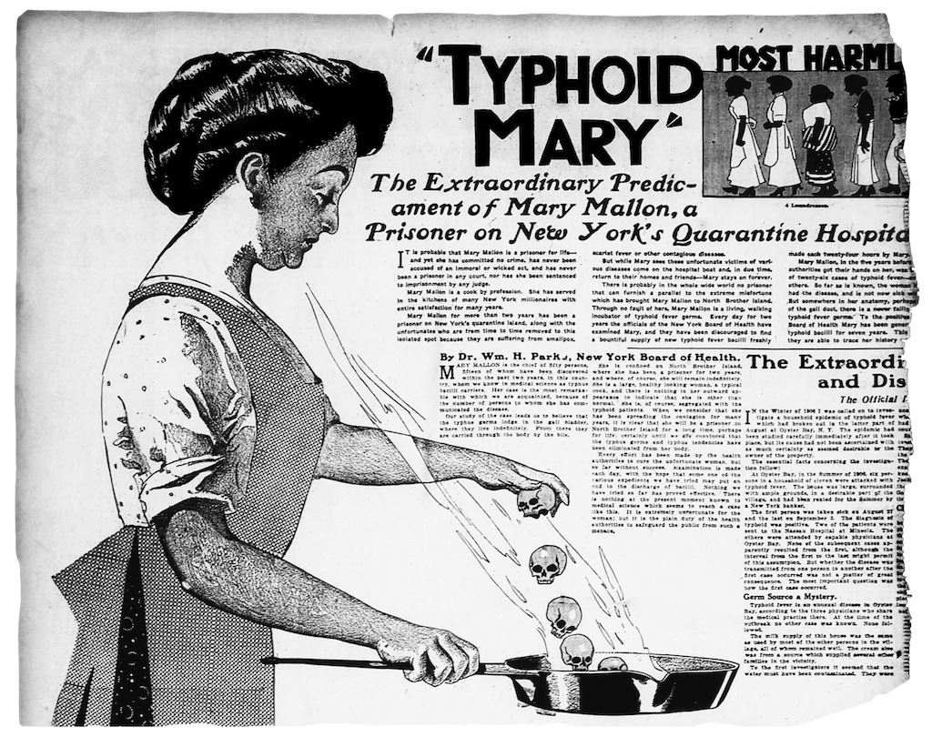 typhoid mary