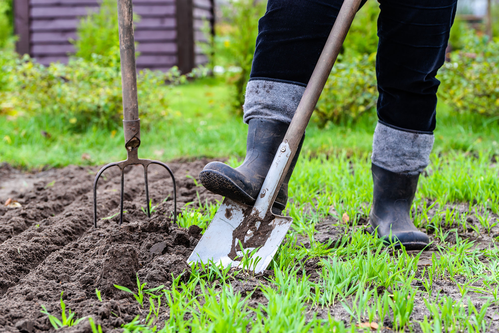 Image result for digging up backyard