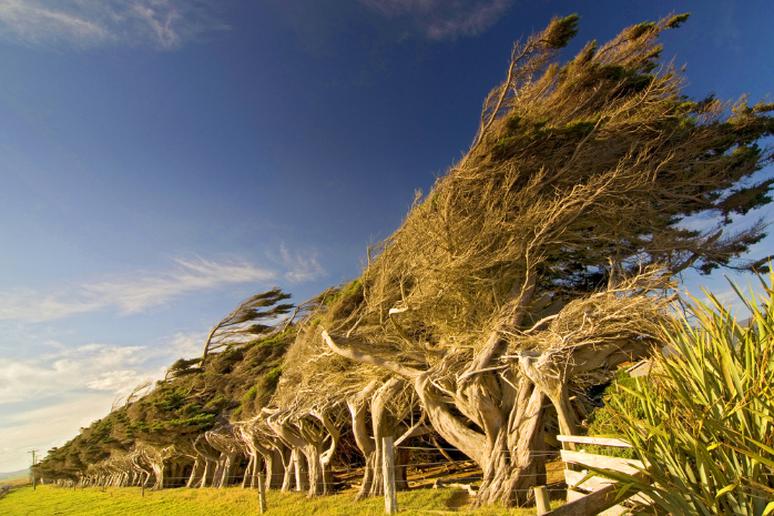 Slope Point, New Zealand 