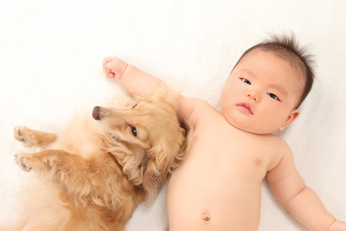 Baby and dog laying