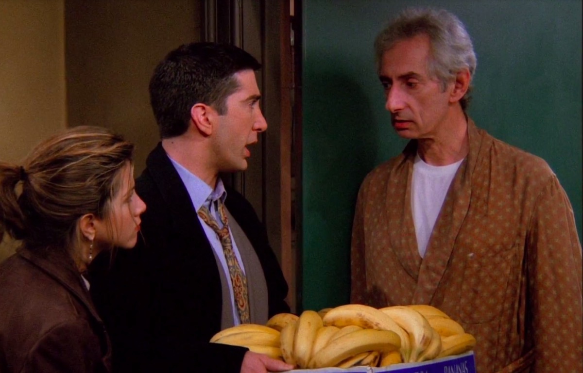 Larry Hankin as Mr. Heckles on Friends