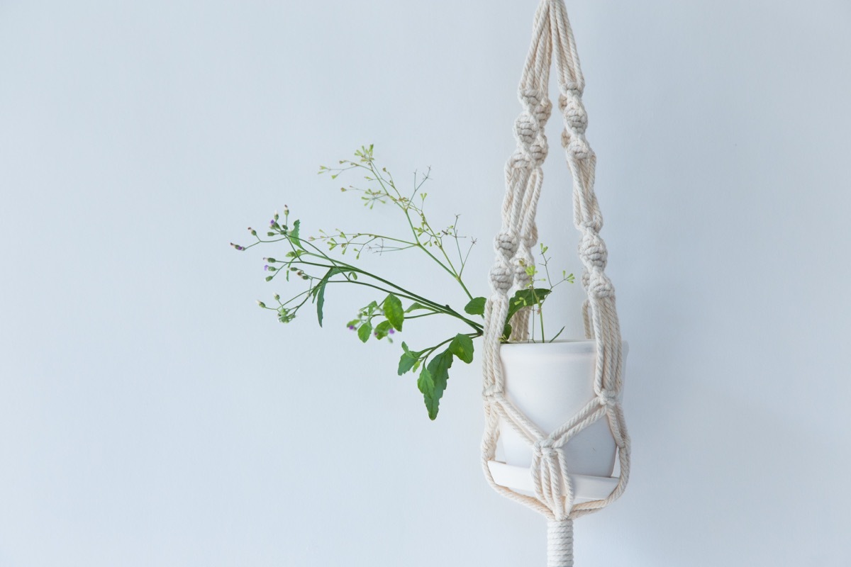 Macrame hanging plant holder