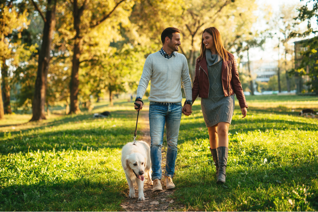 Couple Walking Dog Romance