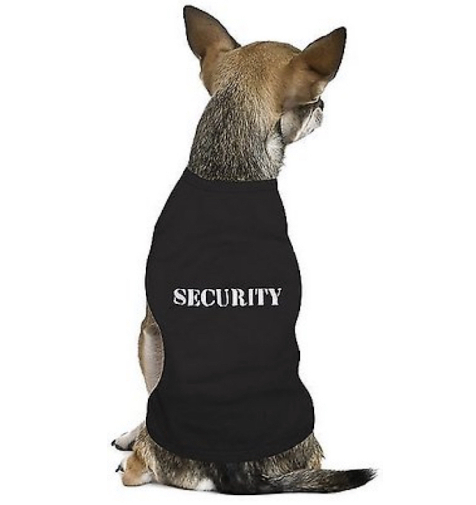 Security Dog Tee adorable dog outfits