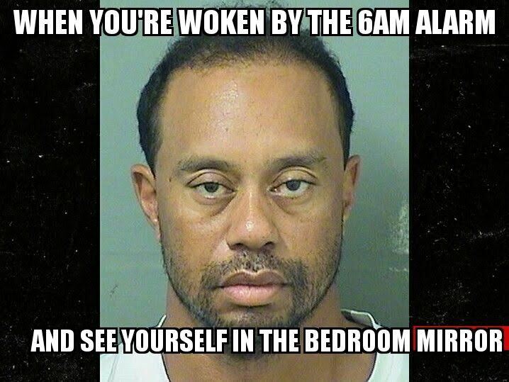 tigerwoods mugshot meme