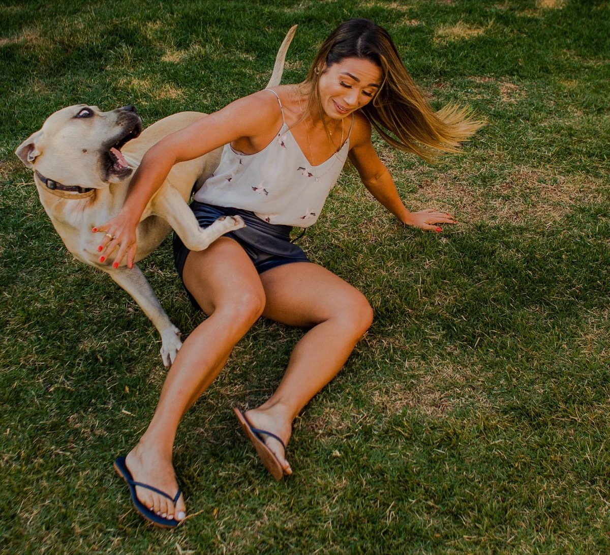 Dog photobombs engagement shoot