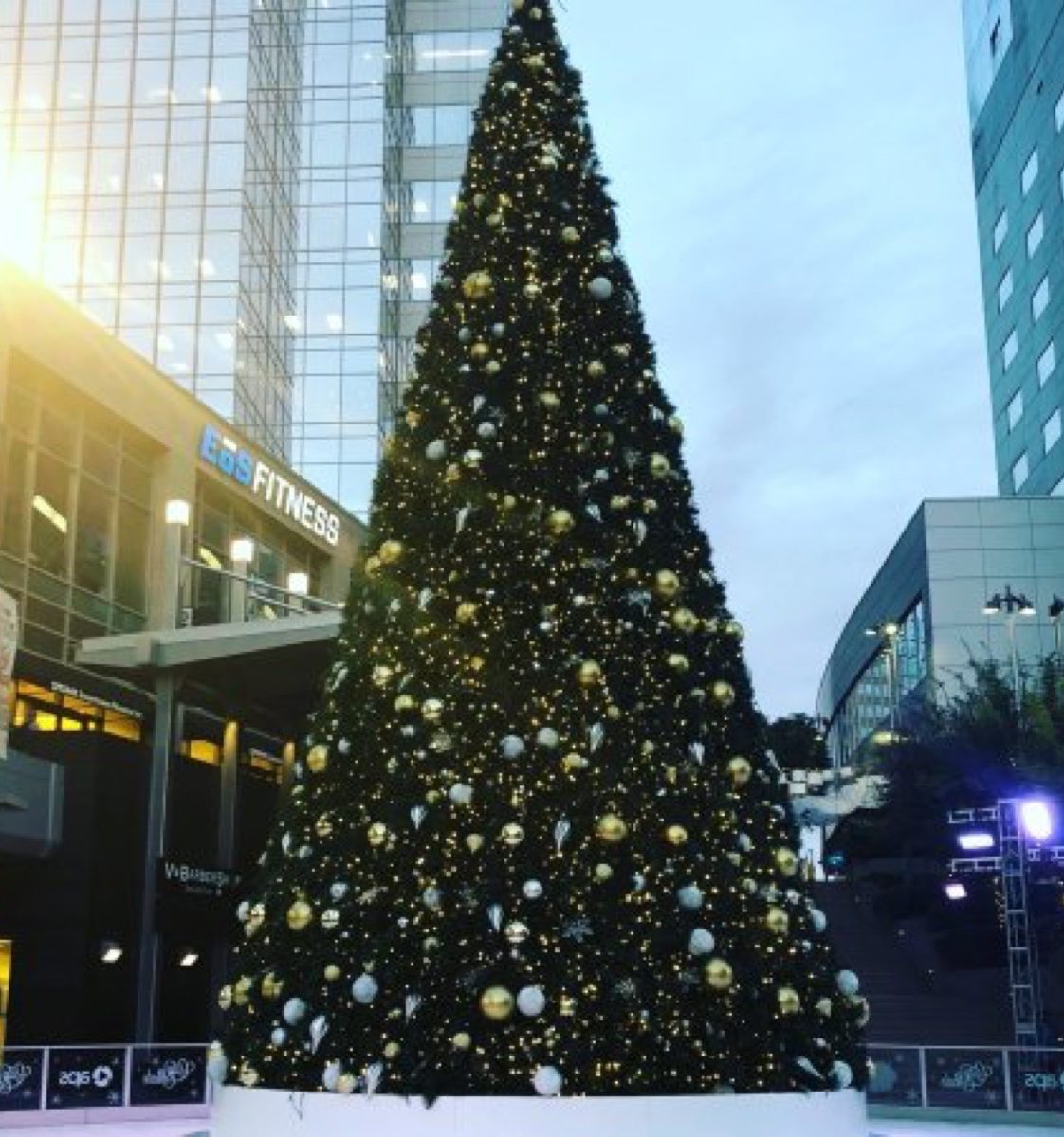 Arizona State Christmas Tree 