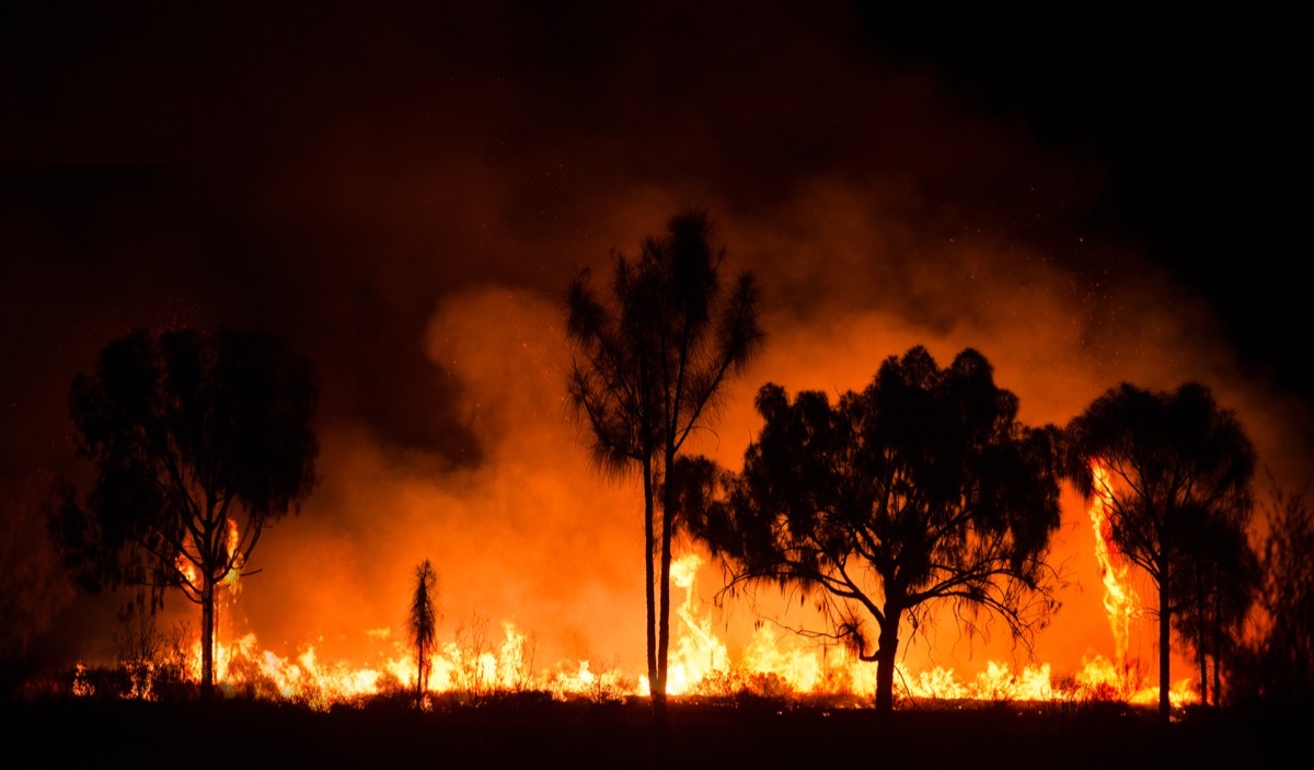 Australian bushfire