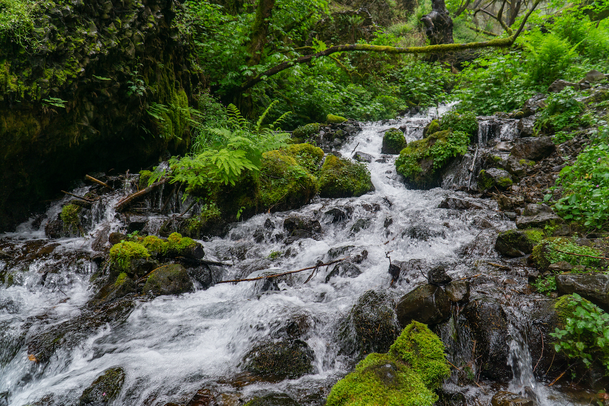 Portland Oregon hike