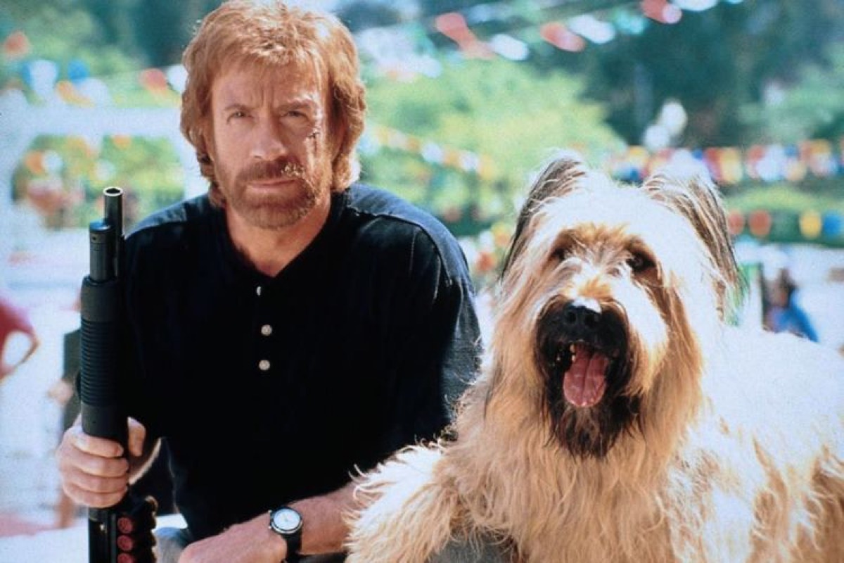 chuck norris in top dog