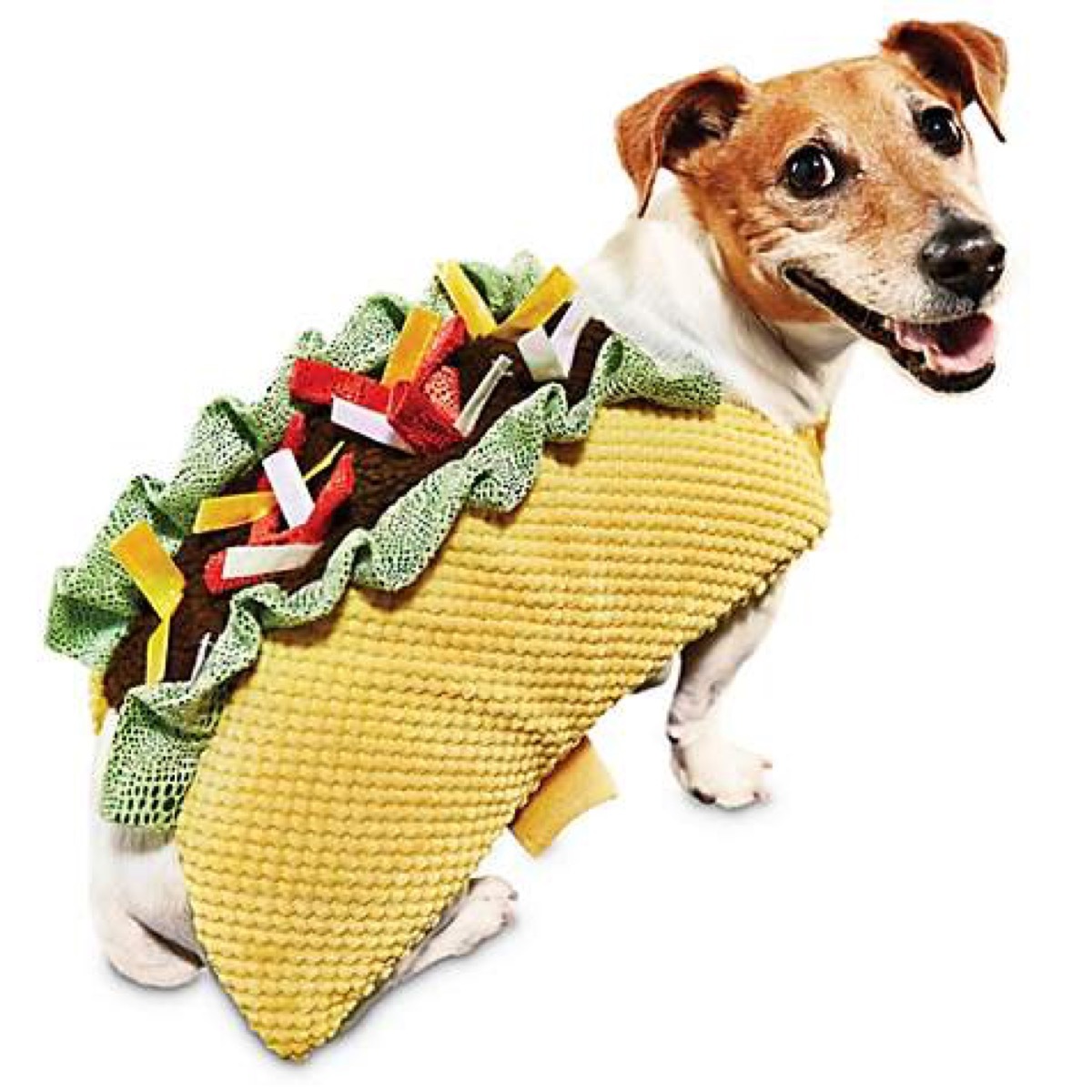 dog in taco costume, dog halloween costumes