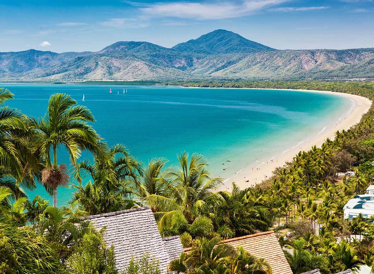 aerial view of a beach and palm trees in australia