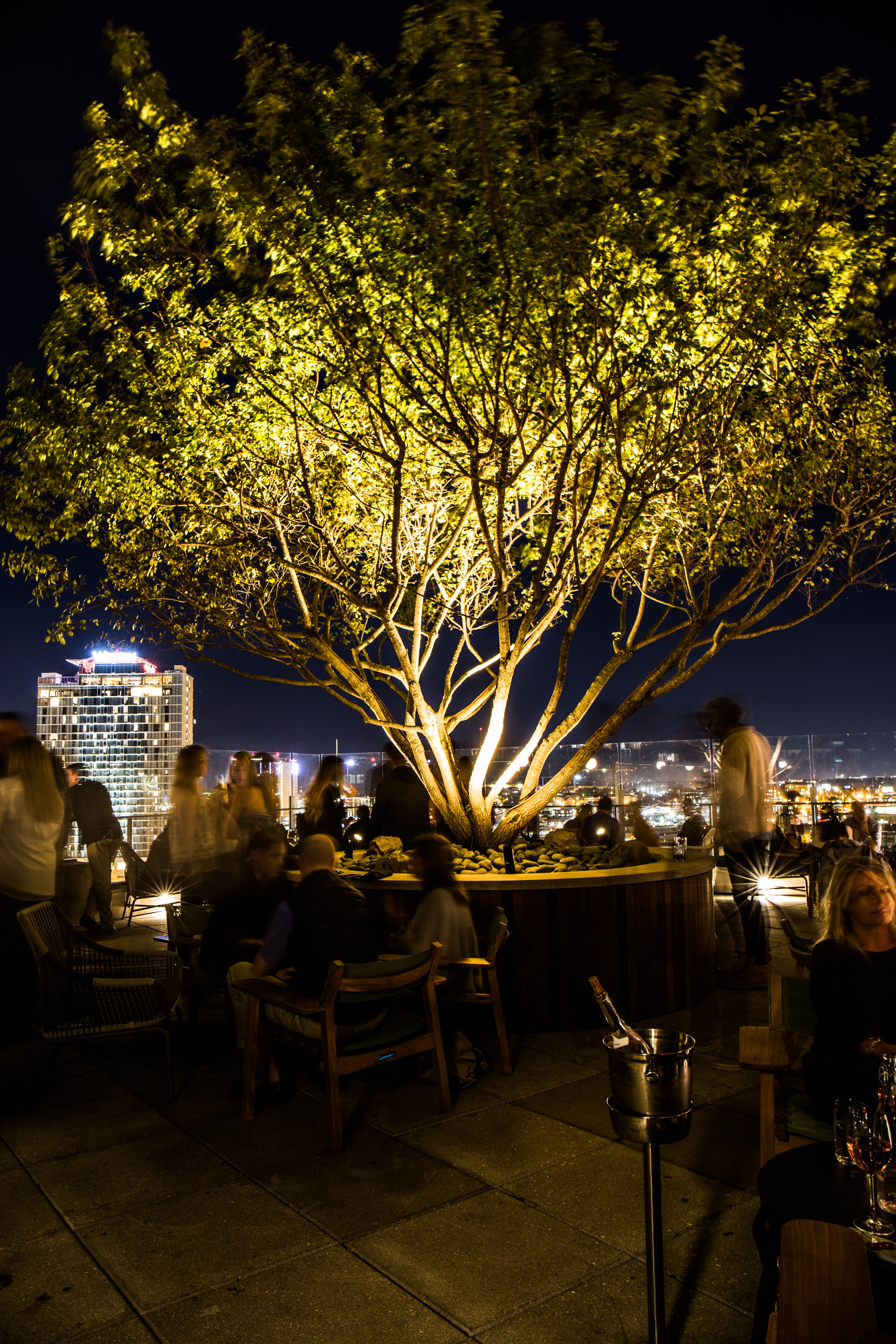 Hotel Bars, LA Jackson