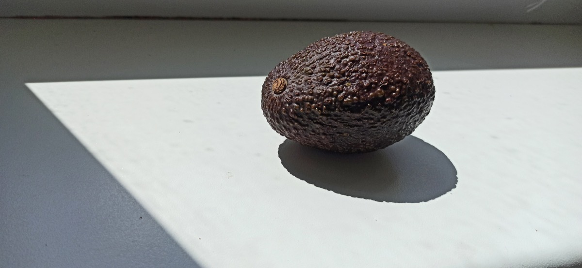 Lonely avocado on a white windowsill on a hot afternoon