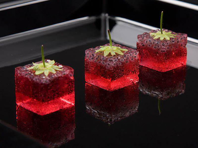 Molecular Gastronomy - The Food of the Future