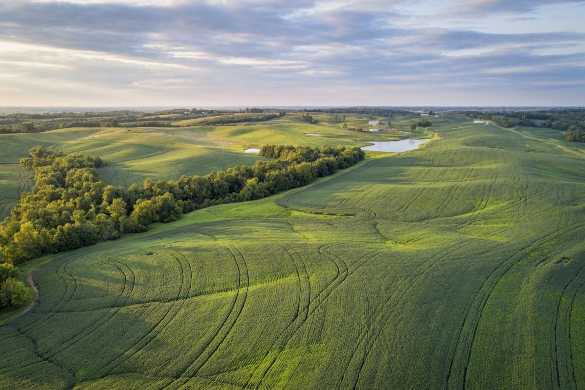 green fields by the Missouri River in Glasgow, Missouri