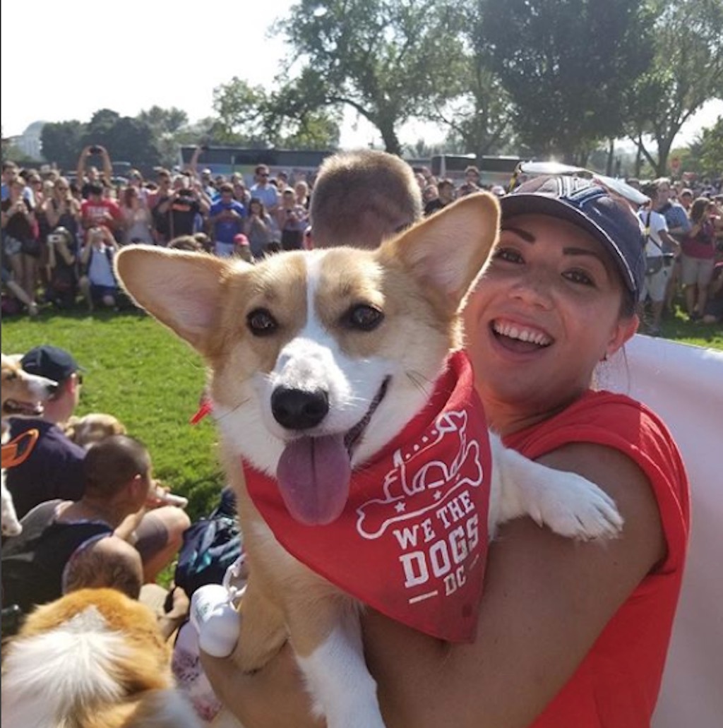 corgi march