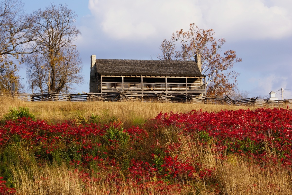 jacob wolf house