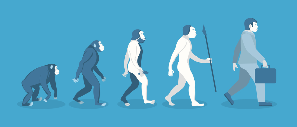 Evolution of Man From Apes School Lessons