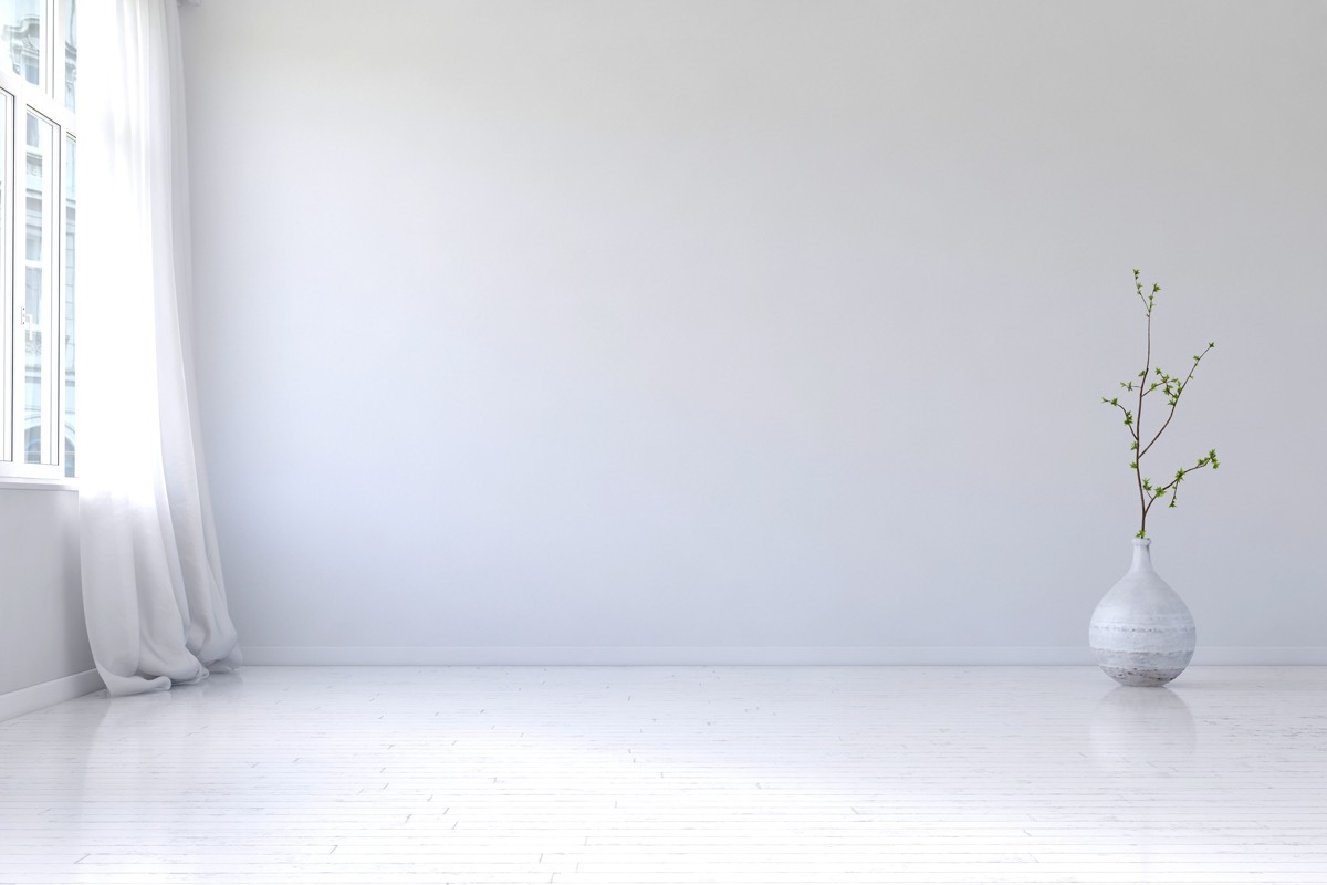 Empty apartment room interior with blank white walls, hardwood floor, large casement windows and planter with little tree shrub.