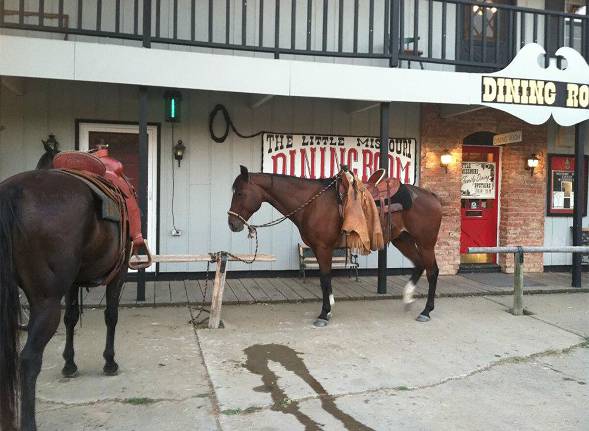 horses outside little missouri saloon in north dakota