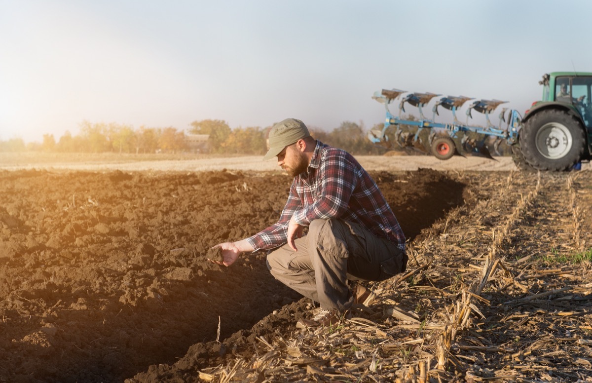 Farmer on farm How People Are healthier