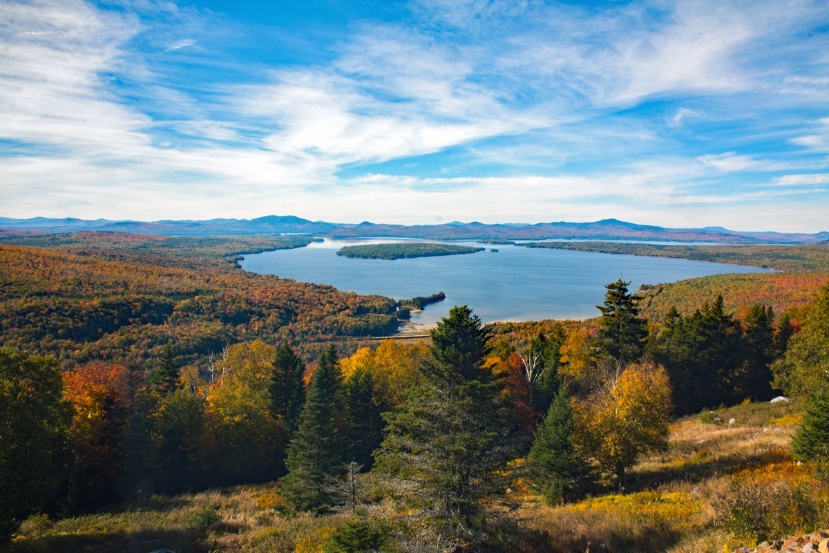 fall foliage forest with a lake in the background