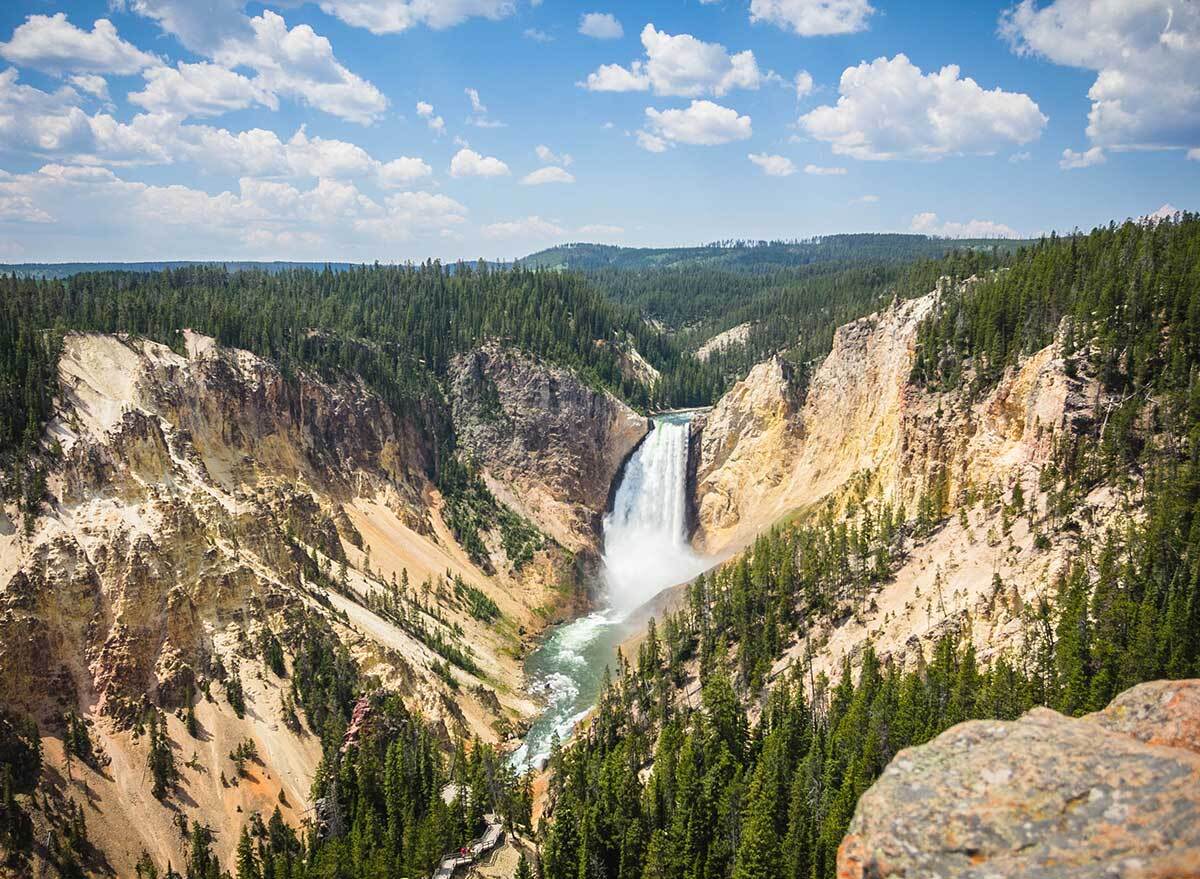 waterfall in a forested canyon