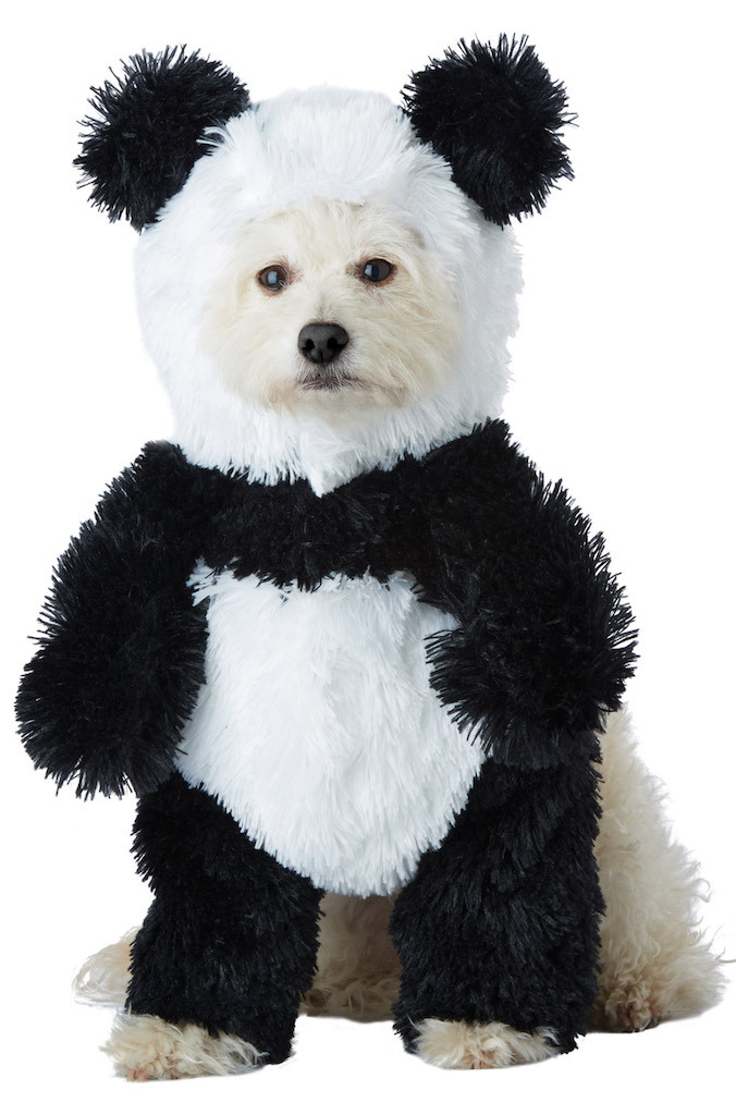 Panda Dog Costume adorable dog outfits