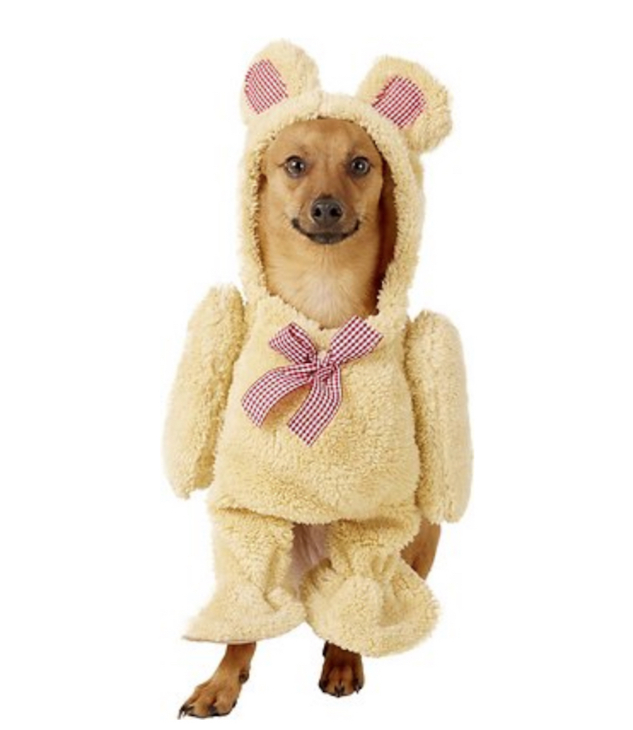 Rubie's Walking Teddy Bear Costume adorable dog outfits