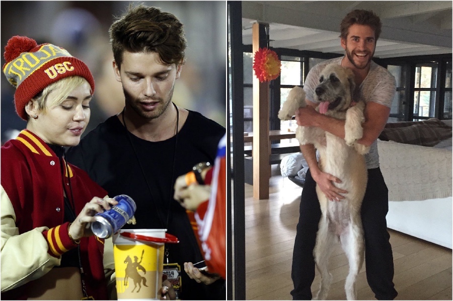 2014-2015 | Miley Cyrus And Liam Hemsworth: Love Story, Marriage And Break Up | Her Beauty