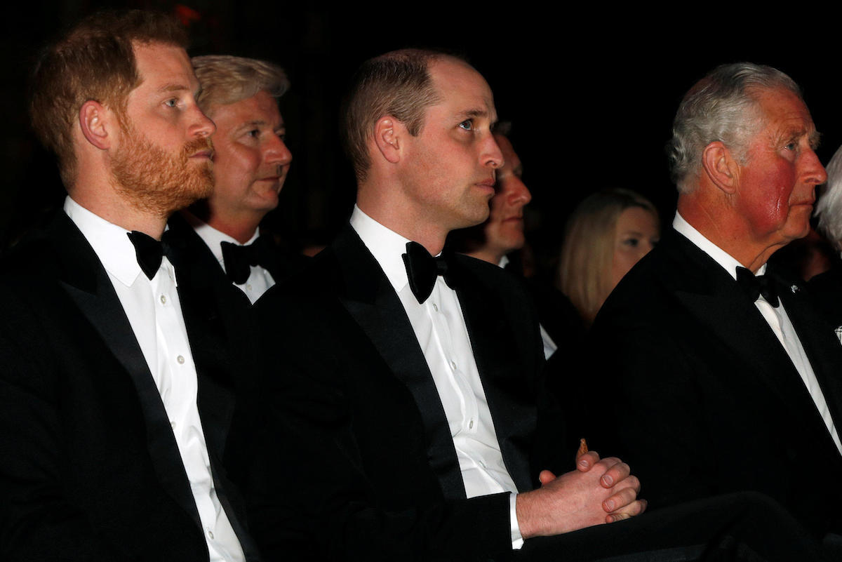 Prince Harry, Prince William, and Prince Charles sit in the front row during the global premiere of Netflix's 'Our Planet' at the Natural History Museum in Kensington, London, hosted by Sir David in 2019